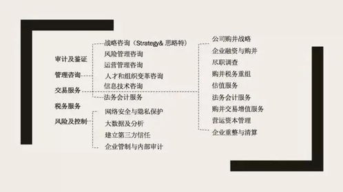 四大咨詢之外 信息技術咨詢服務的優(yōu)勢與機遇