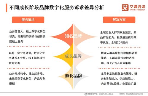 信息技術咨詢服務賦能品牌電商服務商 2021年行業(yè)洞察與發(fā)展趨勢