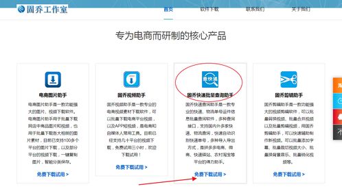 教你批量查詢快遞物流信息，一眼發(fā)現(xiàn)異常件——信息技術咨詢服務指南